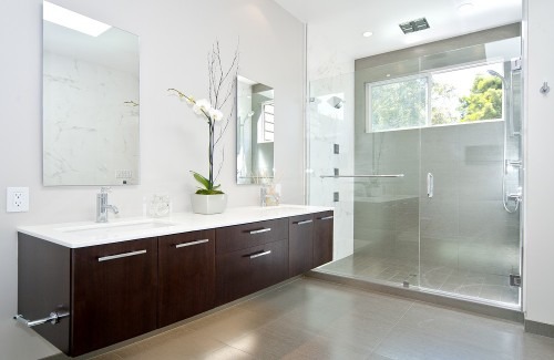 Modern bathroom featuring a sleek glass shower, dark wood vanity with a white countertop, and a decorative plant. Designed for elegance and functionality.